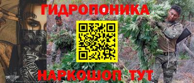 эйфоретик Хасавюрт