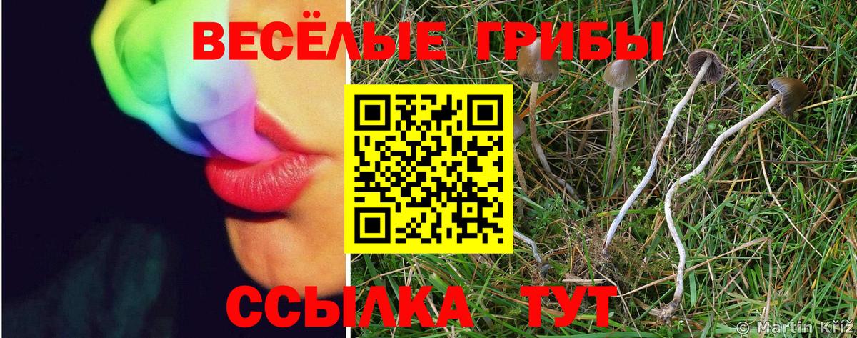 Псилоцибиновые грибы ЛСД Дивногорск