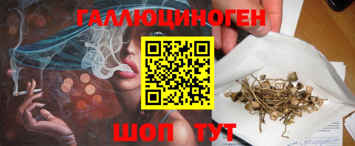 Дивногорск  Галлюциногенные грибы Psilocybe  Вход с VPN 